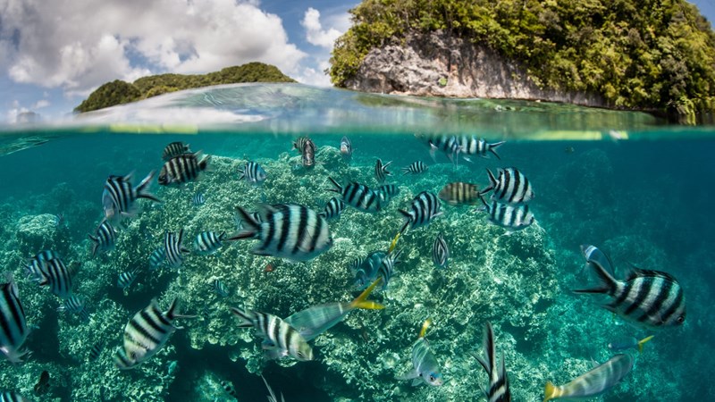 National Marine Sanctuary