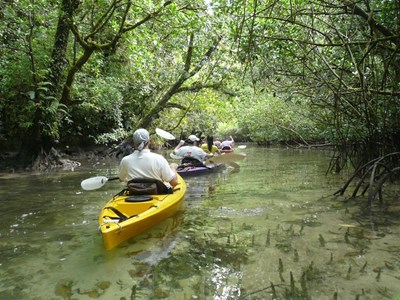 Intro to Palau - Uncharted Waters